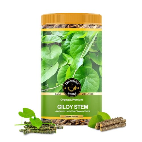TEACURRY Giloy Sticks (50 Gram) – Helps with Recovery, Improve Digestion & Body Wellness, Suports Overall Well-being