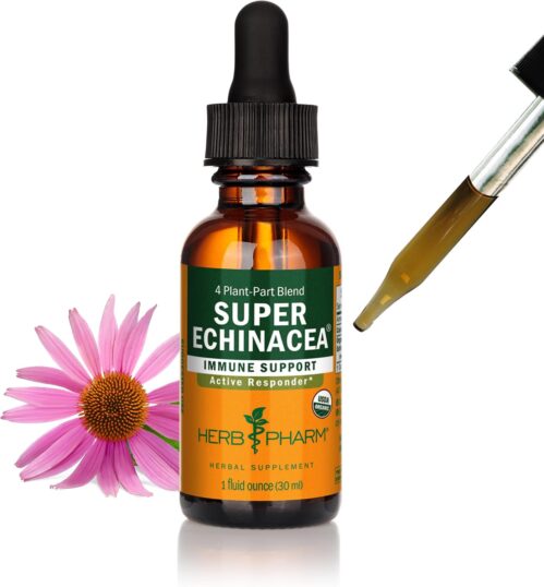 Herb Pharm Certified Organic Super Echinacea Liquid Extract for Active Immune System Support – 1 Ounce (DSUPER01)