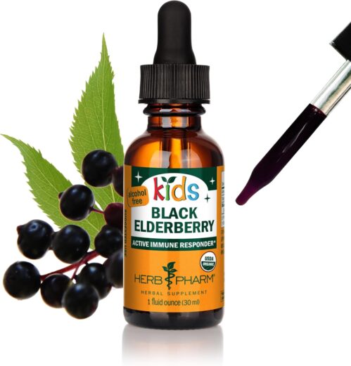 Herb Pharm Kids Certified-Organic Alcohol-Free Black Elderberry Glycerite Liquid Extract, 1 Ounce (GLKELD01)