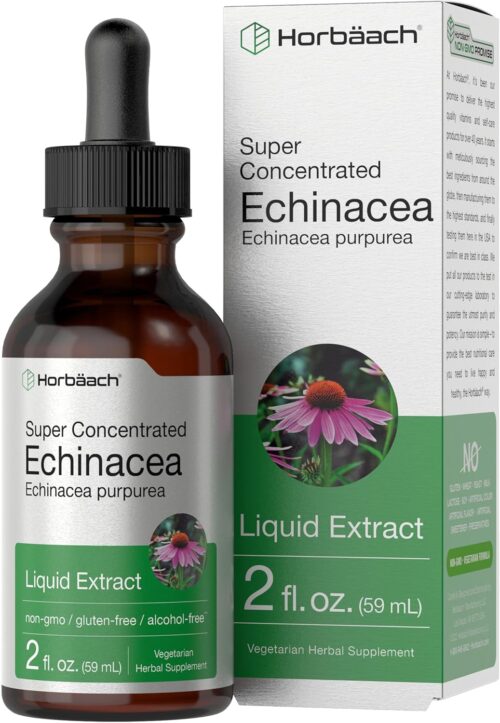 Horbäach Echinacea Drops Liquid Extract | 2 fl oz | Super Concentrated Tincture | Alcohol Free, Vegetarian, Non-GMO, and Gluten Free