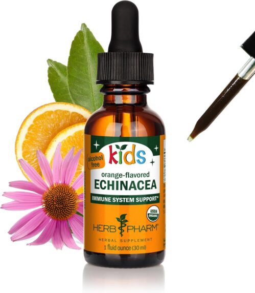 Herb Pharm Kids Certified-Organic Alcohol-Free Echinacea Glycerite Liquid Extract, 1 Ounce