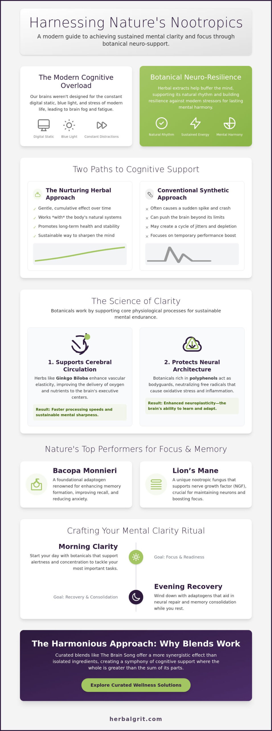 Herbal Supplements for Focus and Memory: The 2026 Botanical Guide to Cognitive Harmony