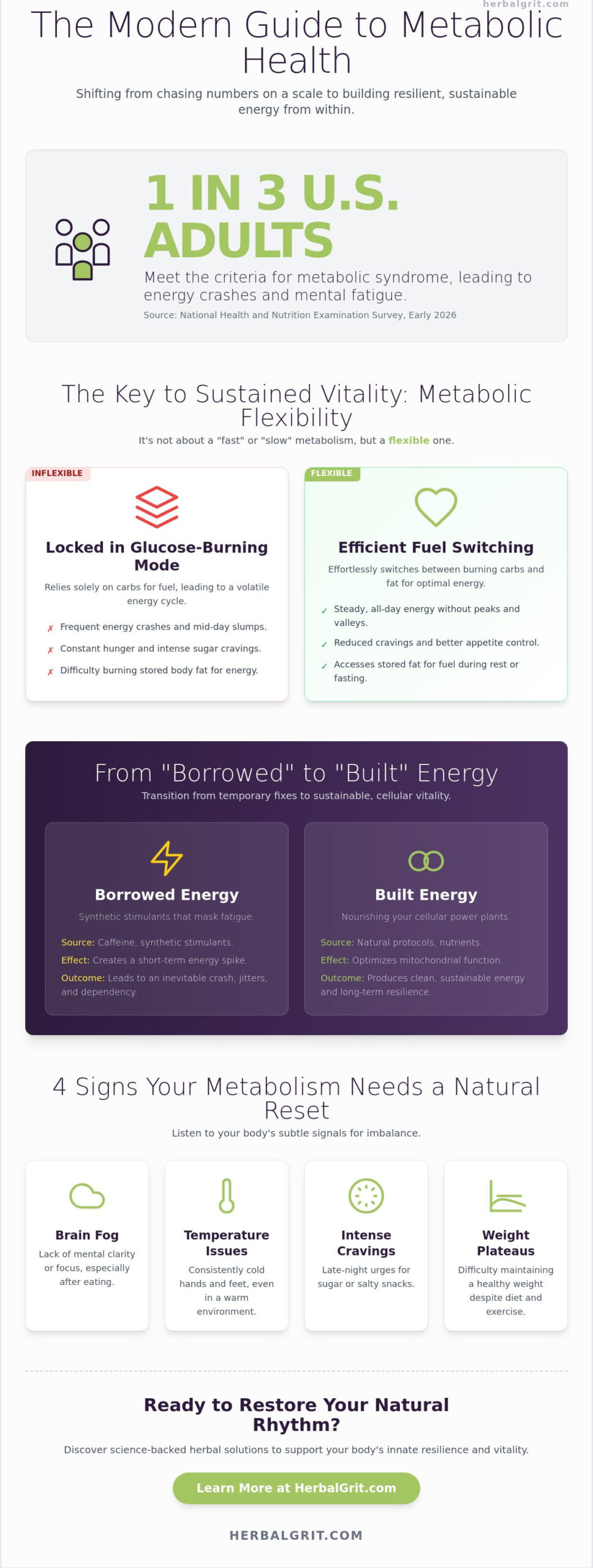 Metabolic Support: The 2026 Guide to Revitalizing Your Cellular Energy