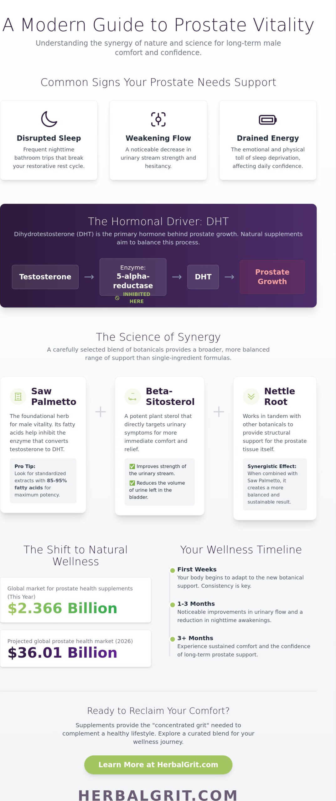 Prostate Health Supplements in 2026: A Grounded Guide to Natural Support