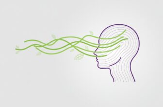 How to Improve Blood Flow to the Brain: A 2026 Guide to Cognitive Vitality