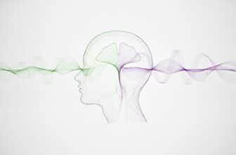 Ginkgo Biloba for Memory Improvement: The 2026 Guide to Cognitive Harmony