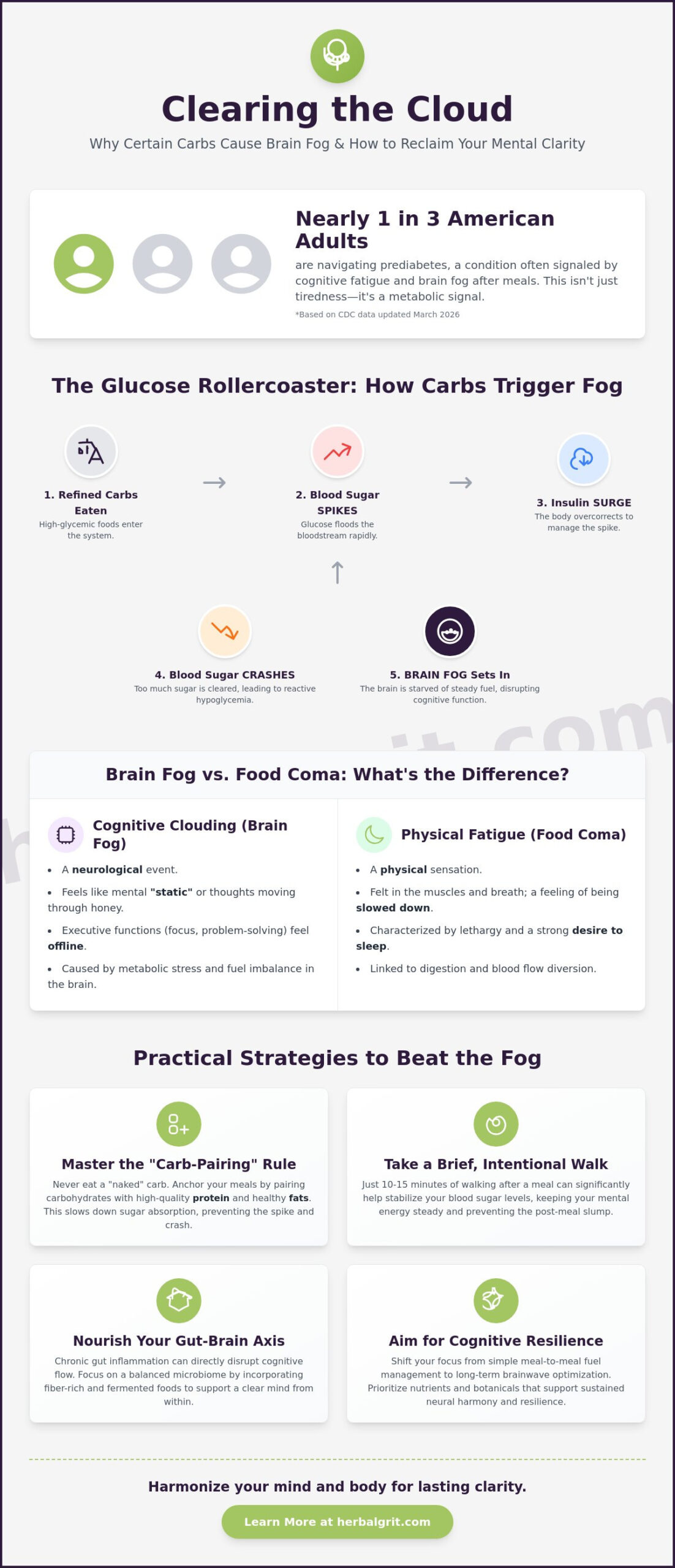 Brain Fog After Eating Carbs: Understanding the Post-Meal Mental Cloud