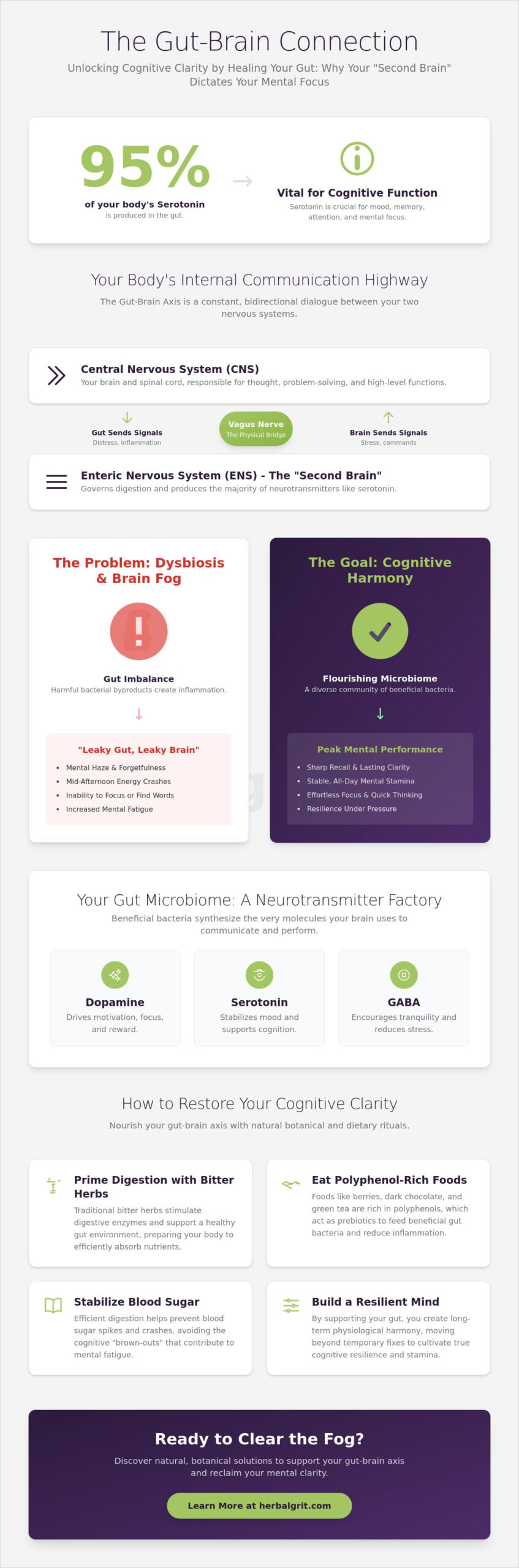 The Surprising Link Between Gut Health and Brain Fog: A 2026 Guide to Cognitive Clarity