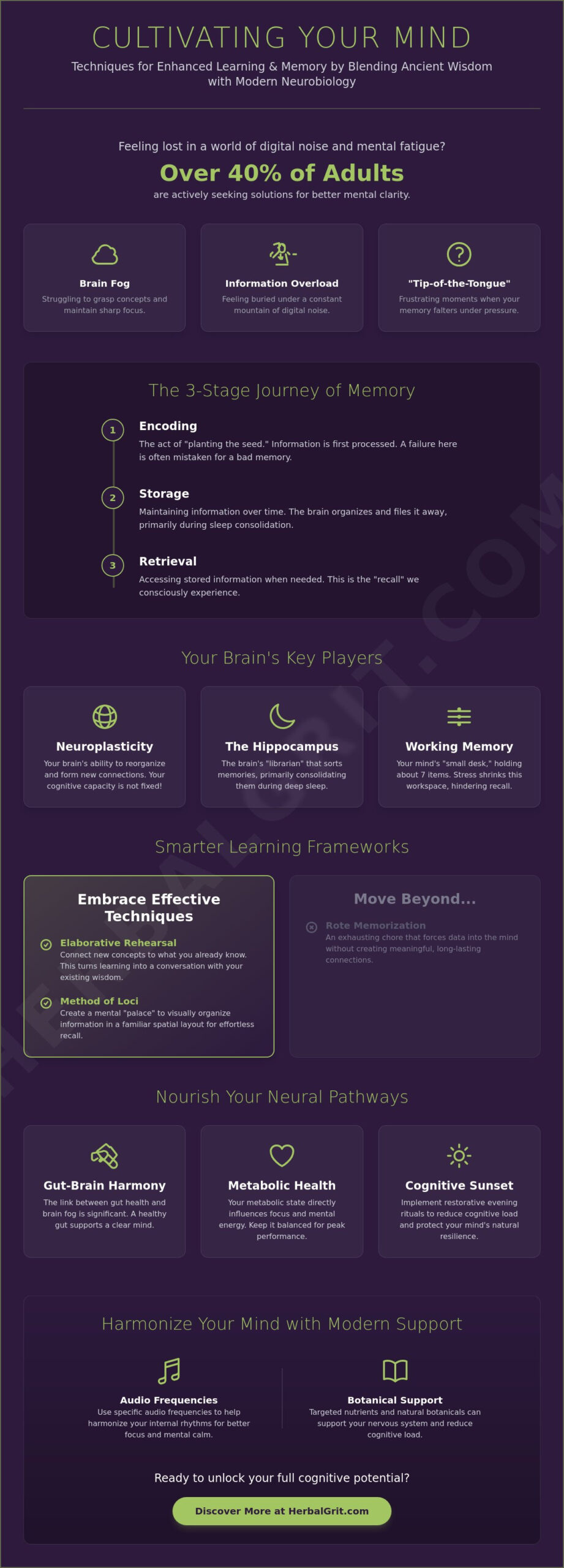 12 Proven Techniques to Improve Learning and Memory: The 2026 Cognitive Harmony Guide