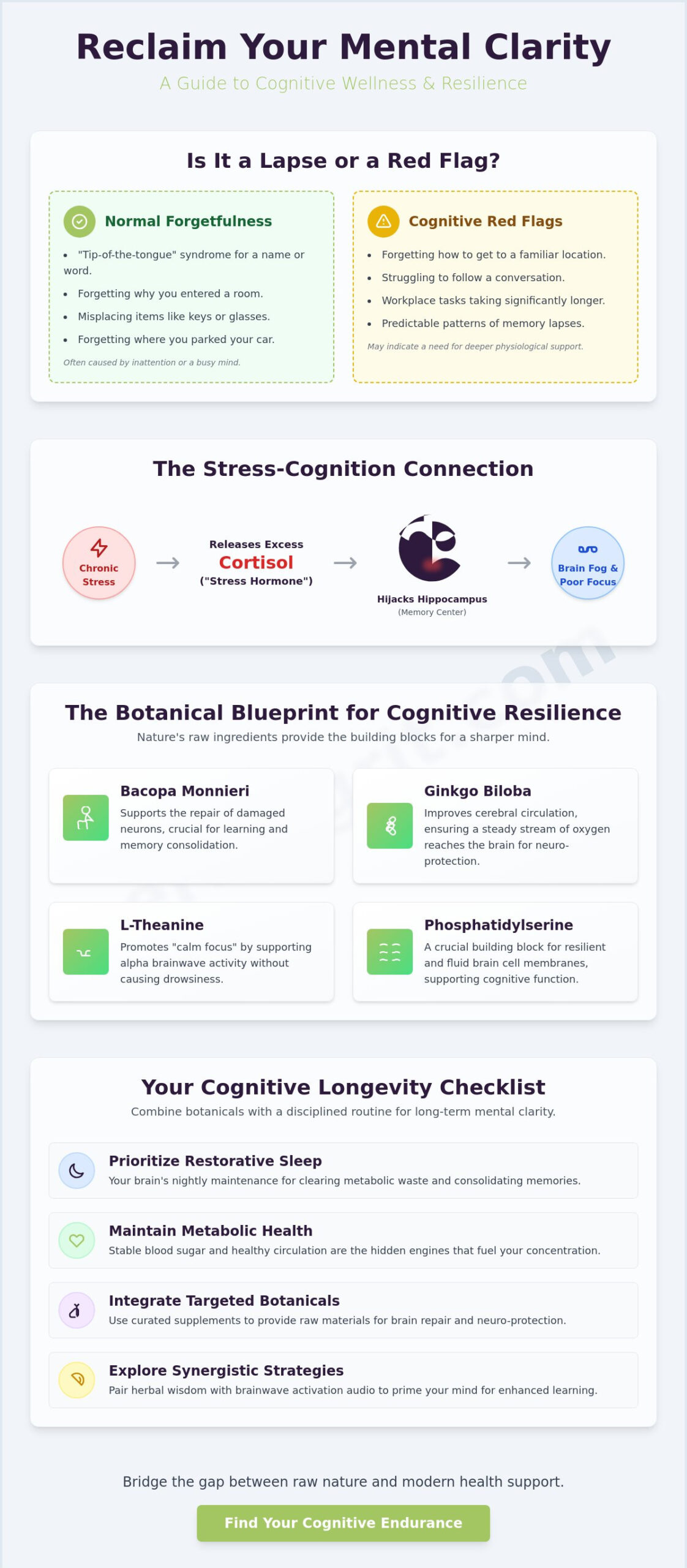 Early Signs of Memory Problems: A 2026 Guide to Supplements for Focus and Concentration