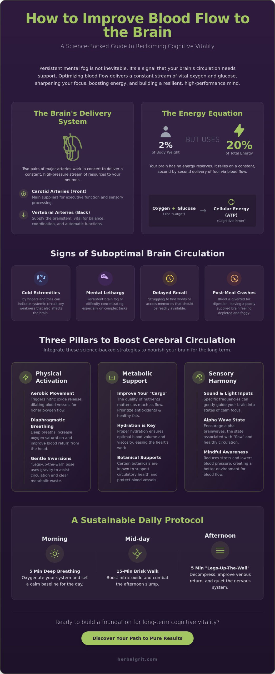How to Improve Blood Flow to the Brain: A 2026 Guide to Cognitive Vitality