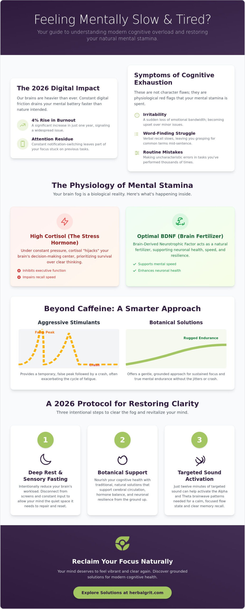 Feeling Mentally Slow and Tired? A 2026 Guide to Reclaiming Cognitive Clarity