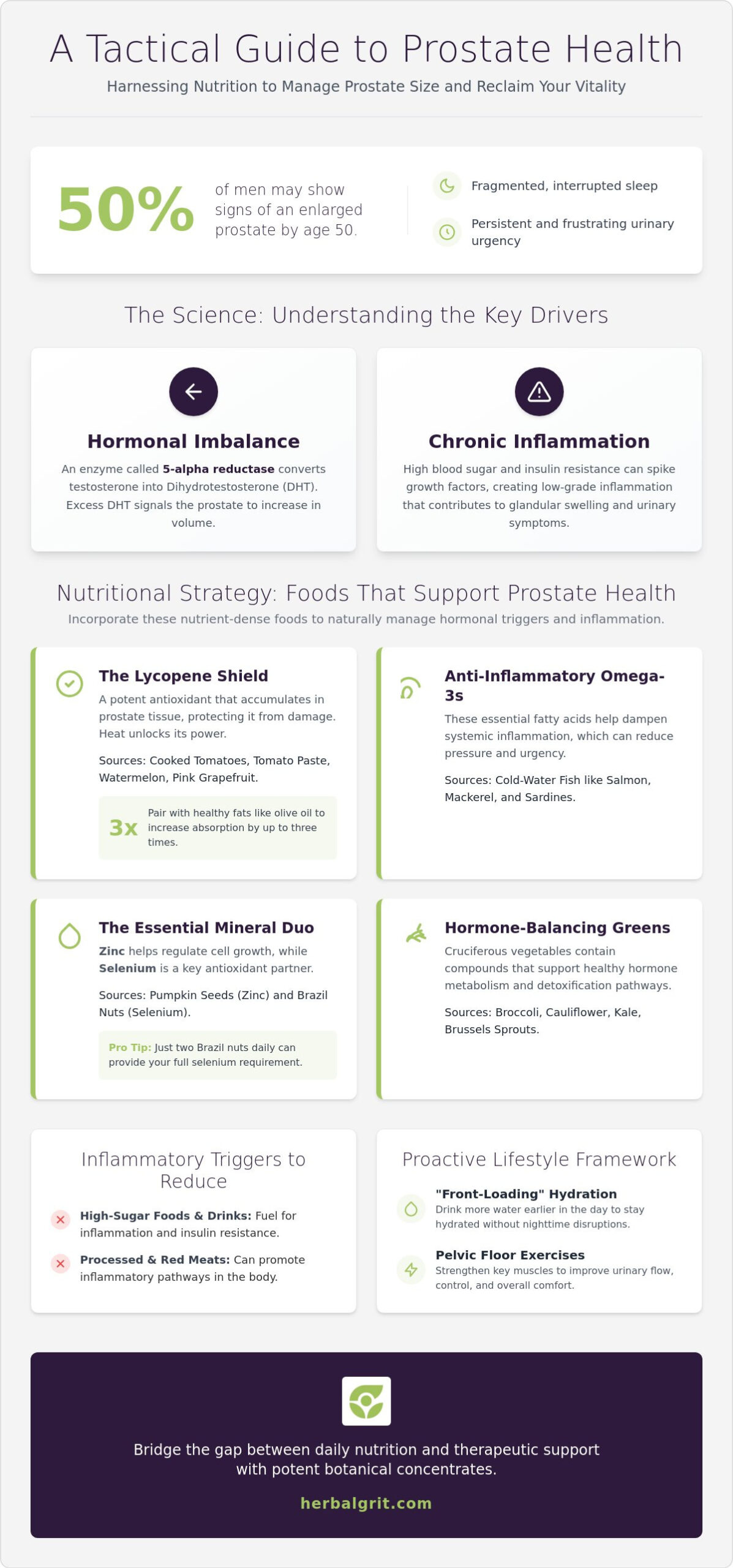 Foods That Shrink the Prostate Gland: A 2026 Tactical Nutrition Guide