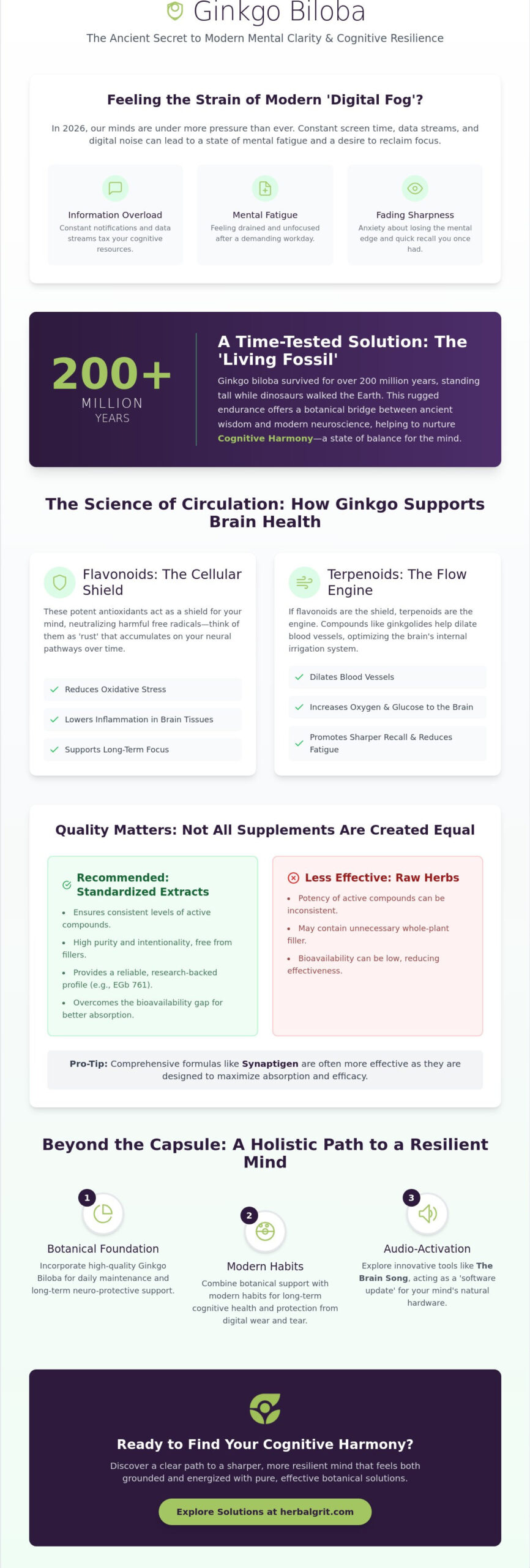 Ginkgo Biloba for Memory Improvement: The 2026 Guide to Cognitive Harmony