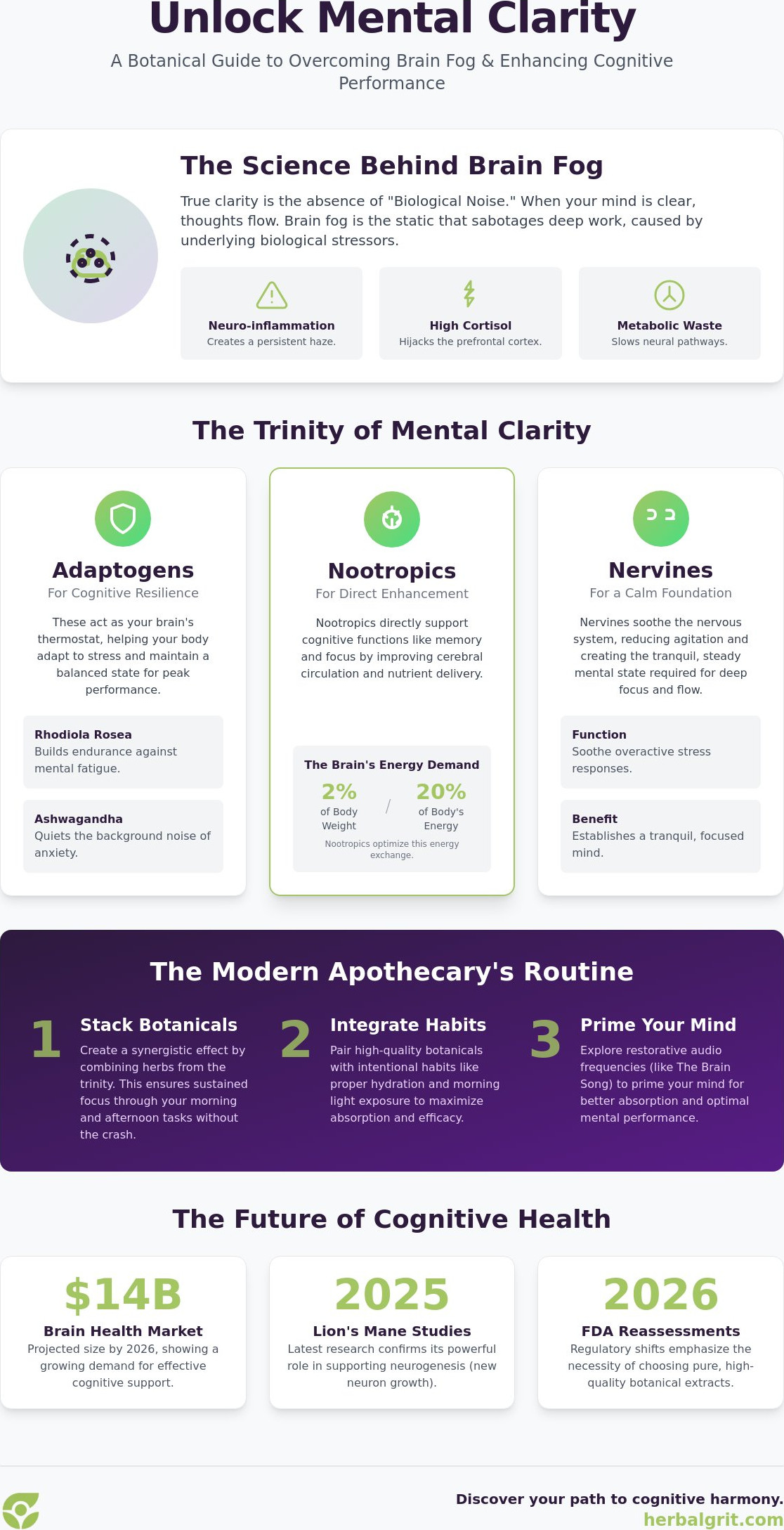 Herbs for Mental Clarity: The 2026 Guide to Cutting Through Brain Fog Naturally
