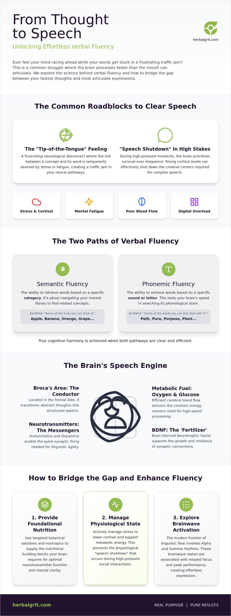 How to Improve Verbal Fluency: A Science-Backed Guide to Cognitive Harmony in 2026