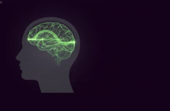 How to Improve Short Term Memory: A 2026 Guide to Cognitive Clarity