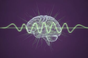 How to Prevent Memory Loss in Old Age: The 2026 Cognitive Longevity Guide