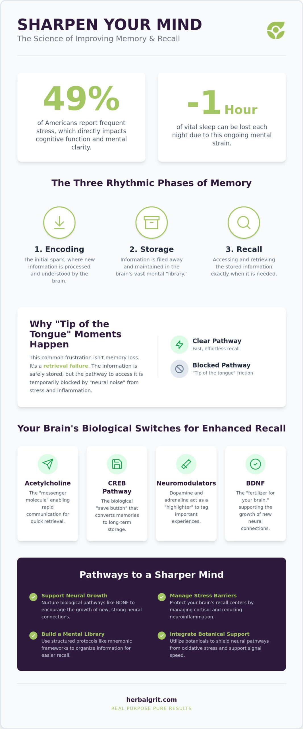 How to Improve Memory and Recall: A Holistic 2026 Guide to Cognitive Harmony