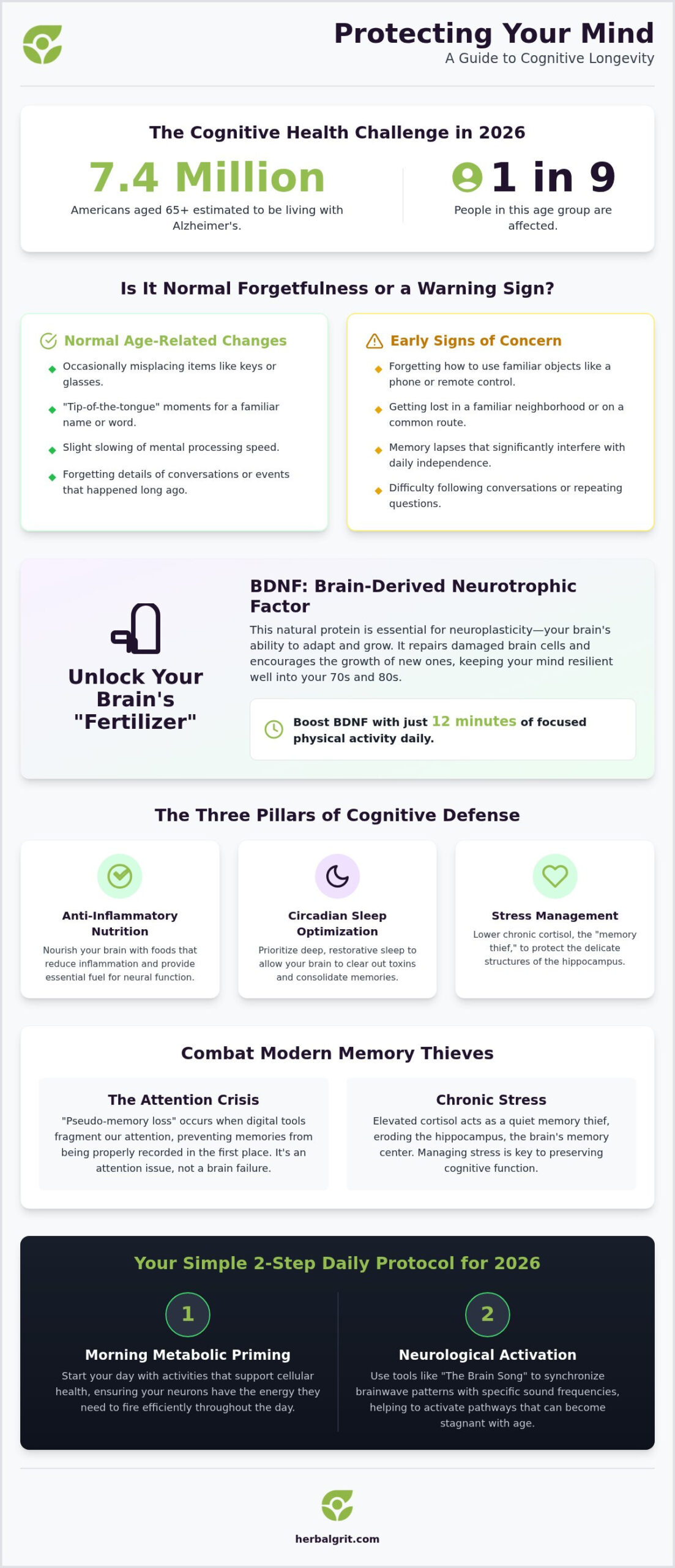 How to Prevent Memory Loss in Old Age: The 2026 Cognitive Longevity Guide