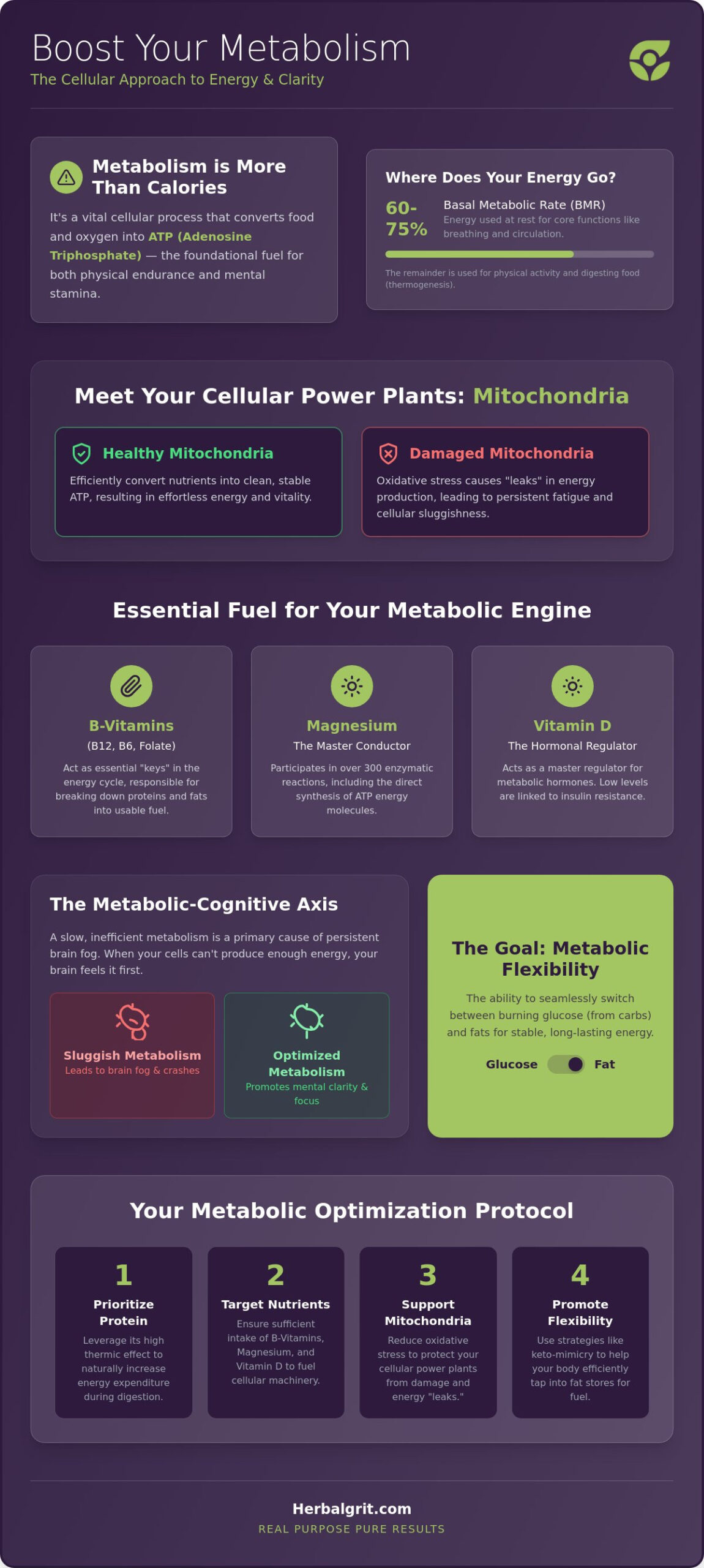 How to Increase Metabolism with Supplements: The 2026 Guide to Cellular Vitality