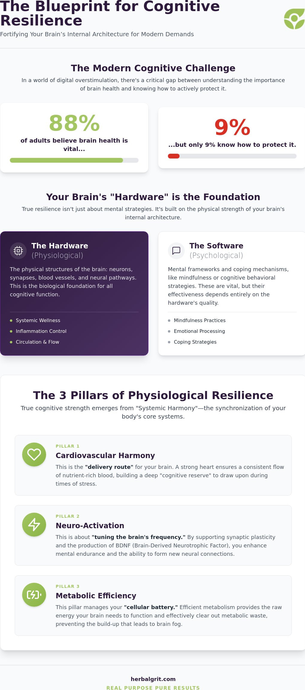 Cognitive Resilience in 2026: A Guide to Systemic Wellness and Mental Longevity