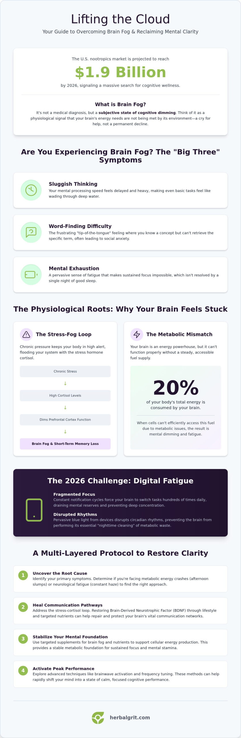 How to Clear Brain Fog: A 2026 Guide to Restoring Mental Clarity Naturally