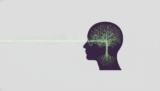 BDNF: How to Boost the Brain’s Master Molecule for Peak Performance (2026)