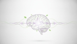 Early Signs & Supplements for Short-Term Memory Loss