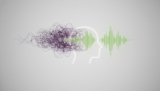 Can Stress Cause Short-Term Memory Loss? Understanding the Cortisol-Cognition Link in 2026