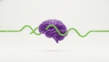 12 Proven Techniques to Improve Learning and Memory: The 2026 Cognitive Harmony Guide