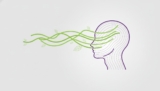 How to Improve Blood Flow to the Brain: A 2026 Guide to Cognitive Vitality