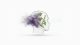 The Ultimate Guide to Foods That Cause Brain Fog: Reclaiming Clarity in 2026
