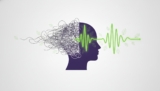 Feeling Mentally Slow and Tired? A 2026 Guide to Reclaiming Cognitive Clarity