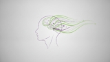 How to Improve Memory and Recall: A Holistic 2026 Guide to Cognitive Harmony