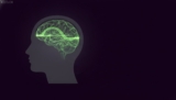 How to Improve Short Term Memory: A 2026 Guide to Cognitive Clarity