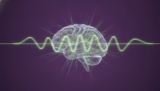 How to Prevent Memory Loss in Old Age: The 2026 Cognitive Longevity Guide