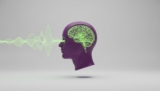 The Brain Song Reviews 2026: Does This Neuro-Audio Hack Actually Work?
