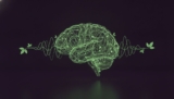 Cognitive Resilience in 2026: A Guide to Systemic Wellness and Mental Longevity