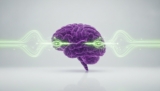 How to Improve Verbal Fluency: A Science-Backed Guide to Cognitive Harmony in 2026