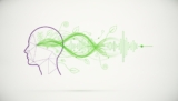 What to Look for in a Memory Supplement: The 2026 Buyer’s Guide to Cognitive Clarity